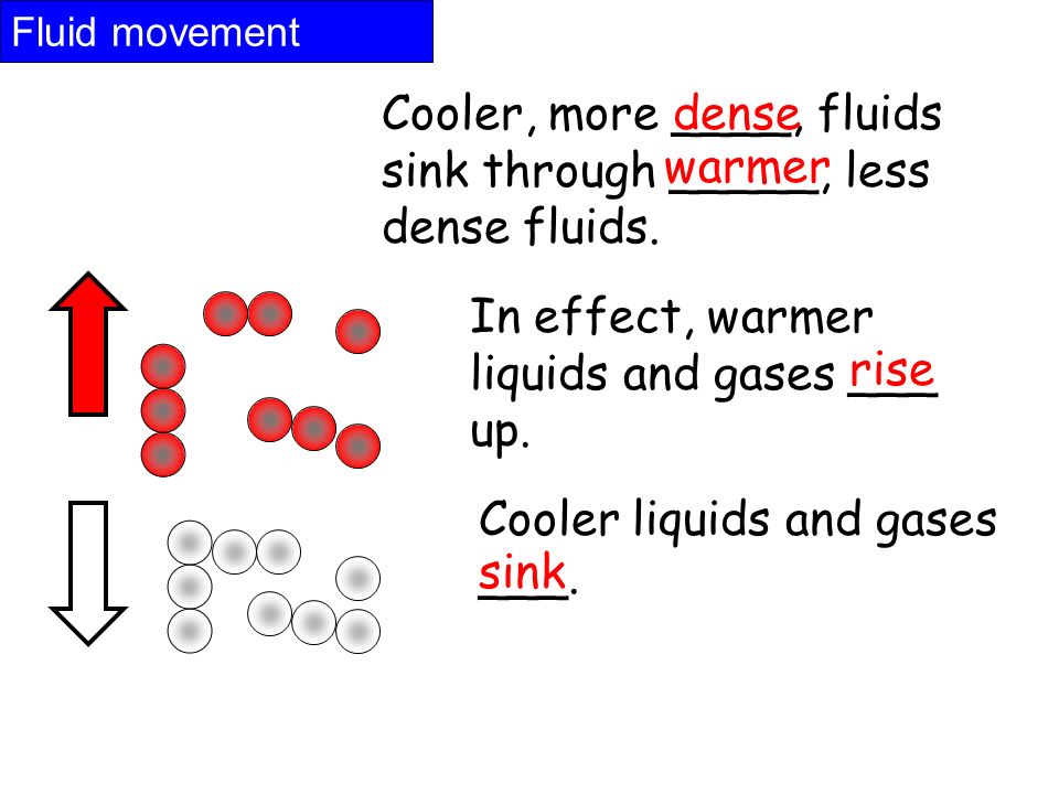 Fluid movement Cooler, more ____, fluids sink through _____, less dense fluids.