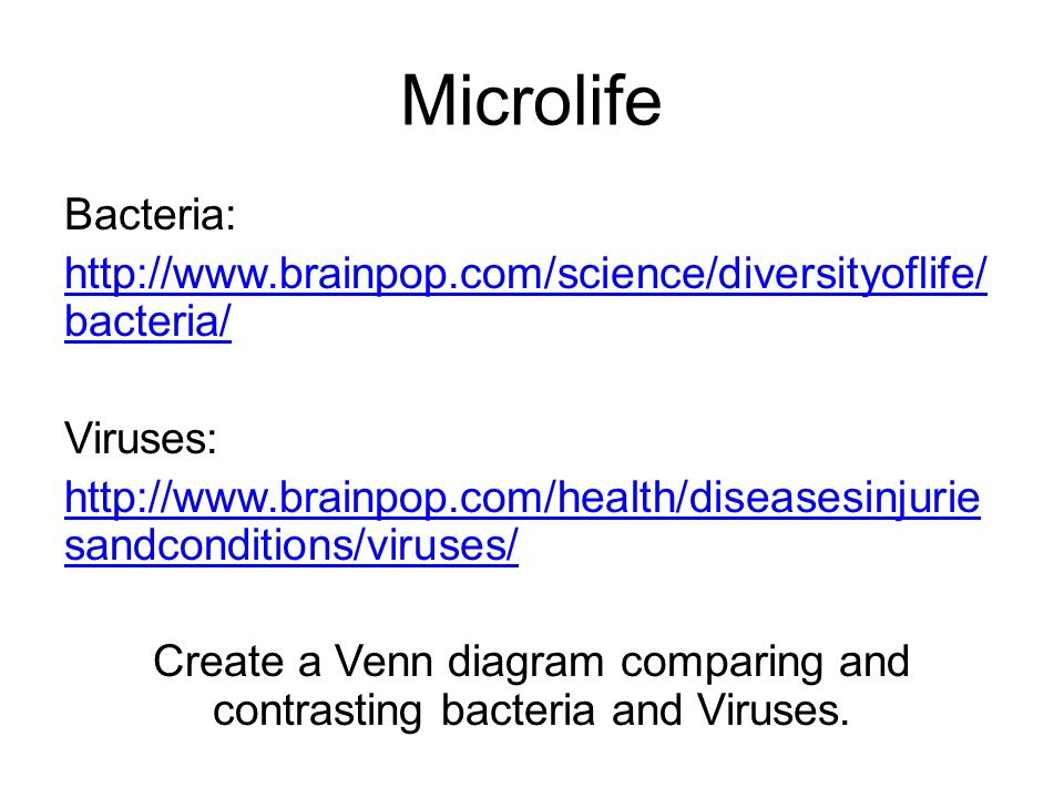 viruses vs bacteria venn diagram under fontanacountryinn com venn diagram of viruses and bacteria