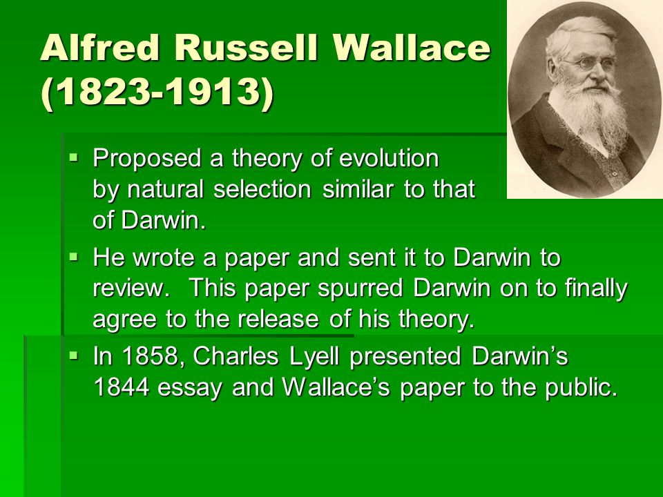 an essay on evolution and darwinim Evolution and creationism saved essays the theory of evolution by natural selection proposed by charles darwin is one of the more prevalent. an essay on evolution and darwinim Evolution and creationism saved essays the theory of evolution by natural selection proposed by charles darwin is one of the more prevalent.