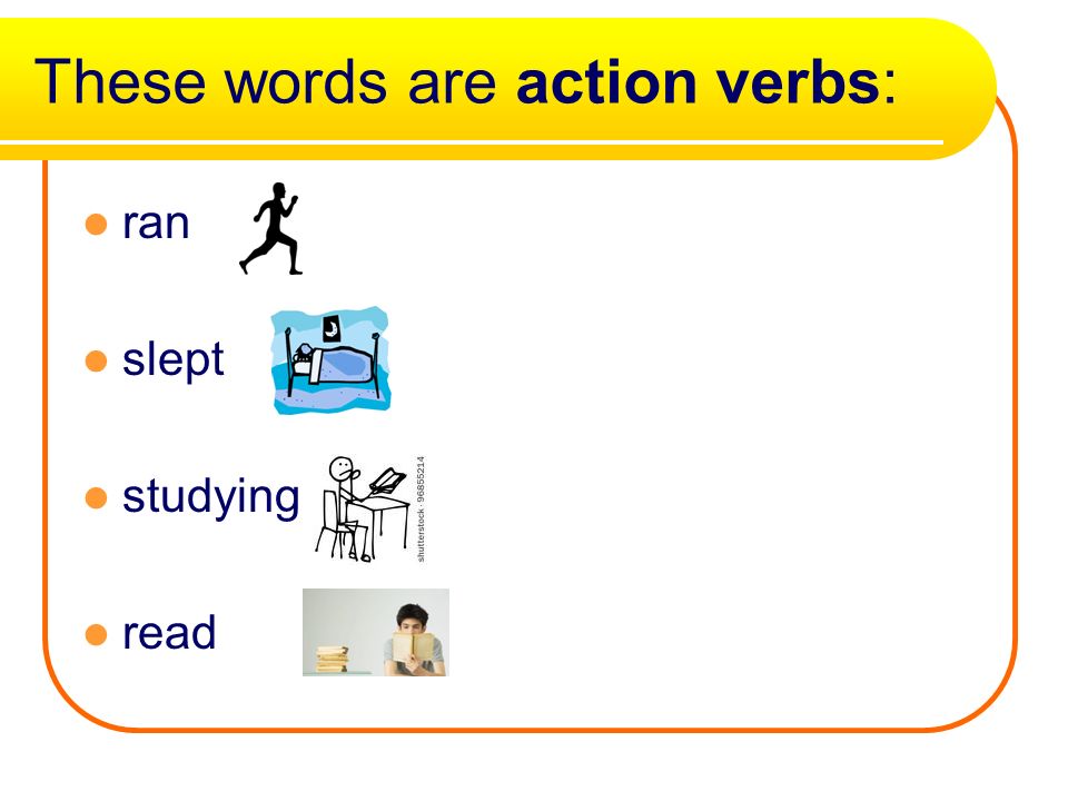 what is a action verb