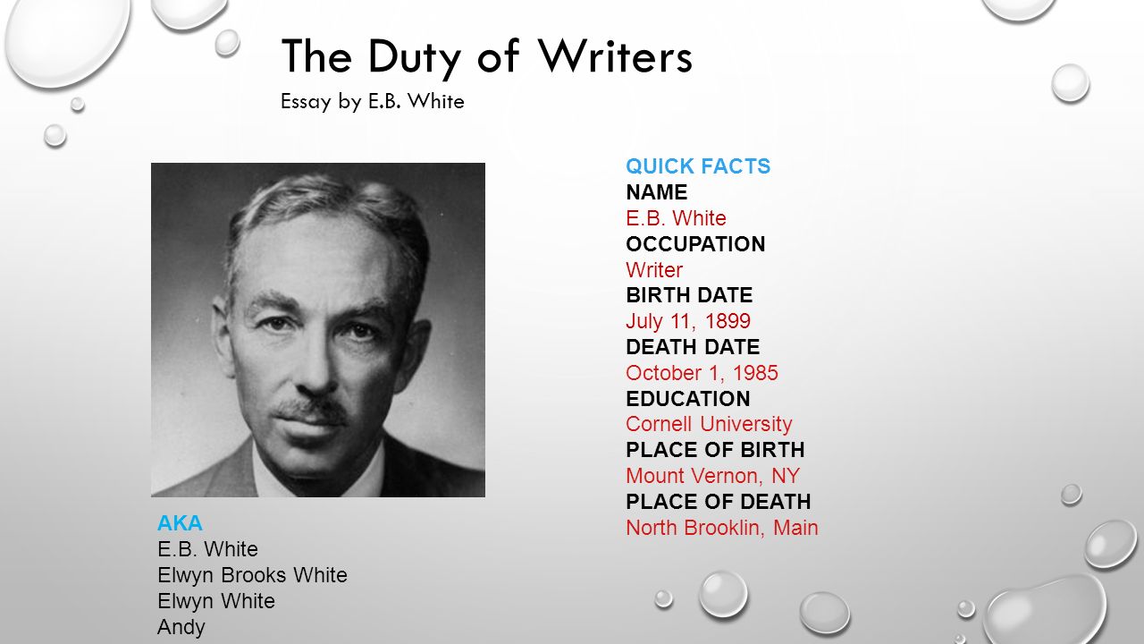 Essays On Whiteness
