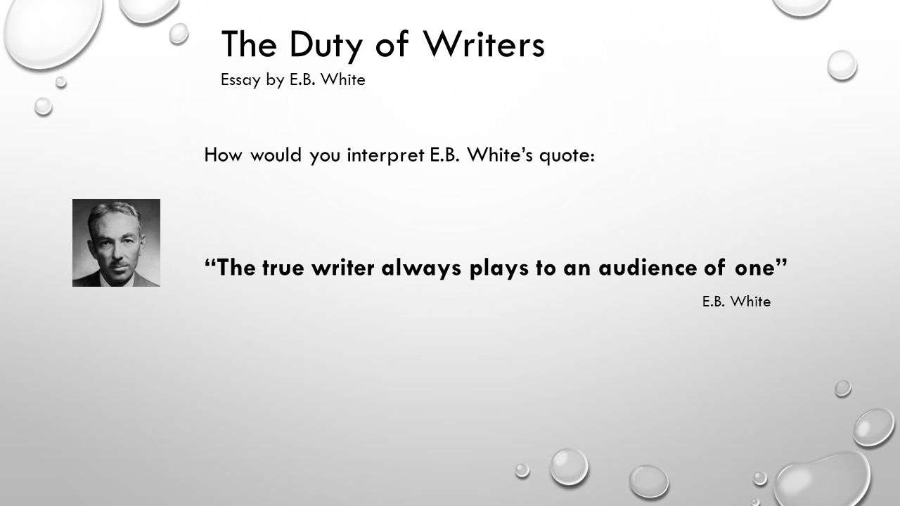 essay white pages essay white pages