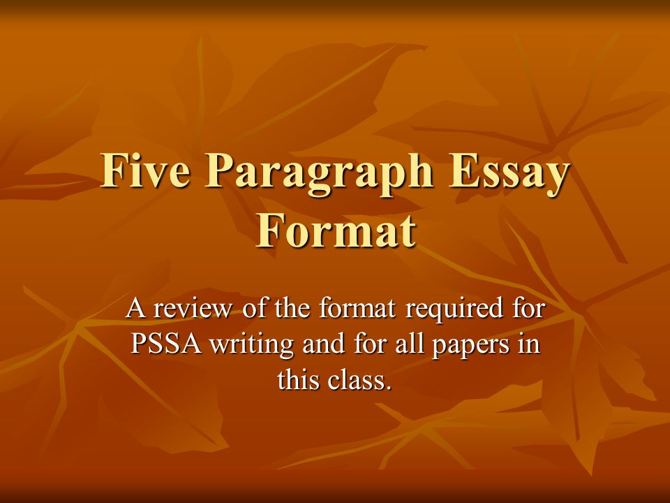 essay 5 essay 5