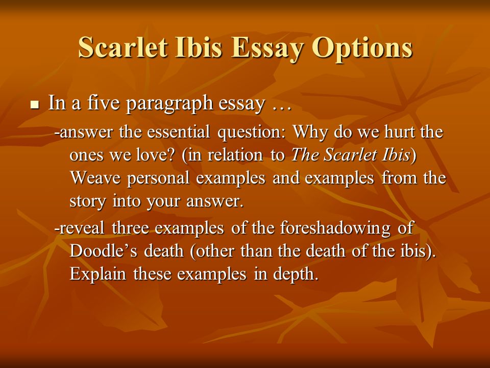personalities essay personalities essay