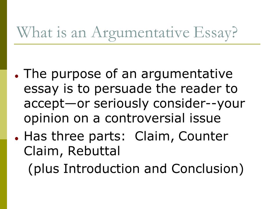 Argumentation-Persuasion Essay