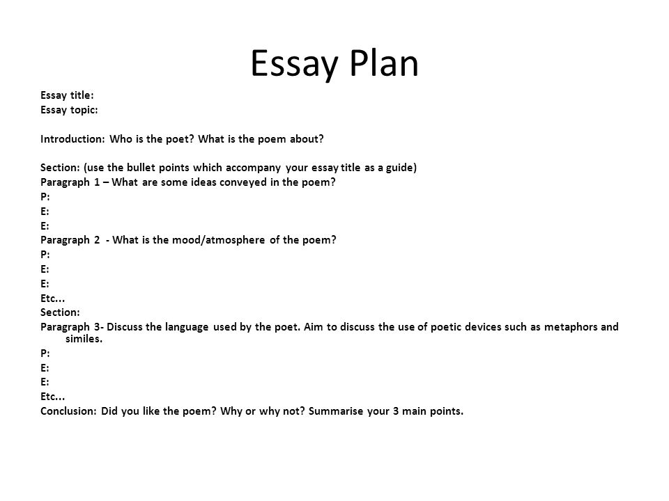 Purpose of an essay plan