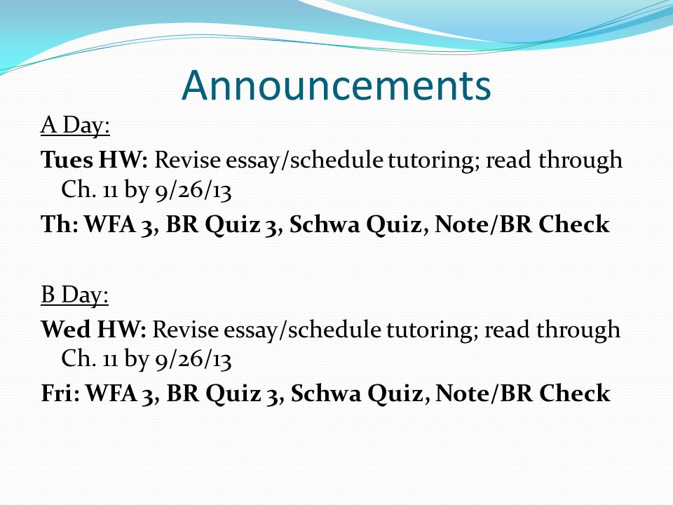 Revision Essay