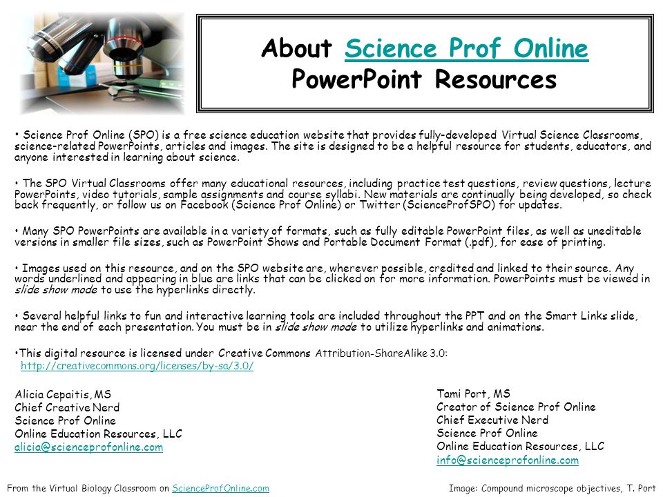 education powerpoints
