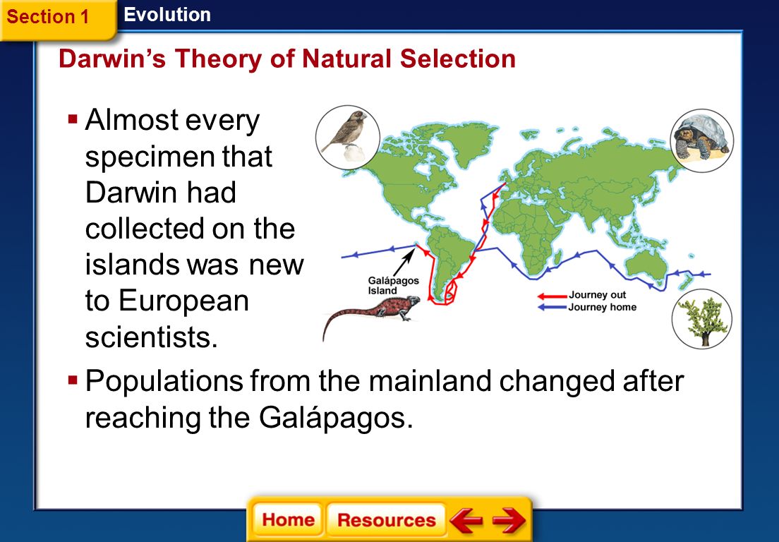 Galapagos Finches Evolution - 1104x768 - jpeg Galapagos Finches Evolution