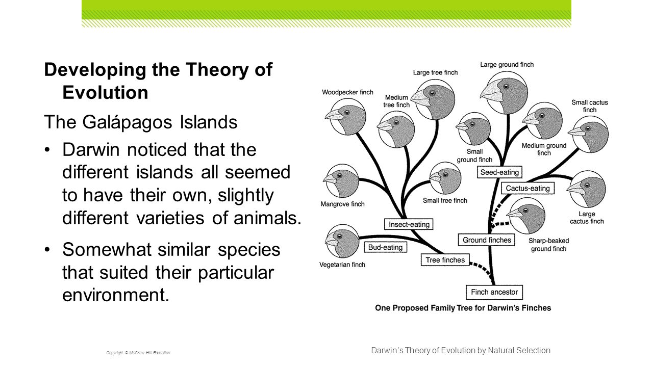 an analysis of the arguments evolutionists claim as evidence for the darwinian theory of evolution Articles about evidence against evolution never assume challenging the basic assumptions of evolutionists many evolutionists argue. an analysis of the arguments evolutionists claim as evidence for the darwinian theory of evolution Articles about evidence against evolution never assume challenging the basic assumptions of evolutionists many evolutionists argue.