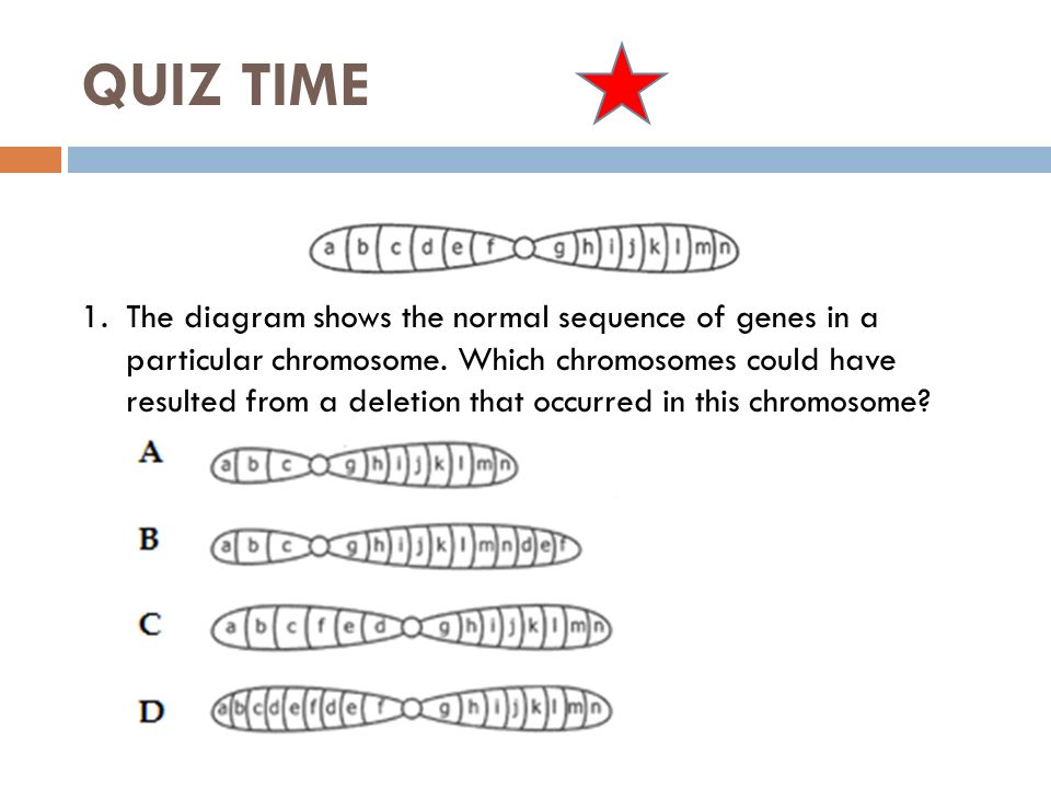 Chromosomal Mutations Worksheet Delibertad Chromosome Mutation Worksheet Rringband