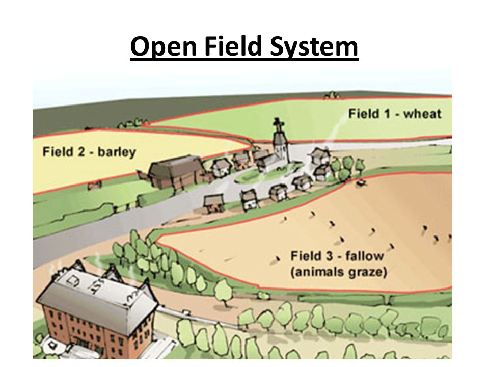What was the open field system?