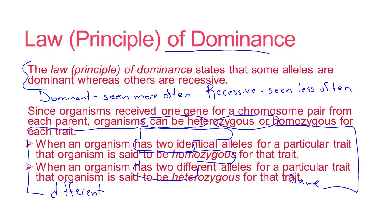 principle of dominance major magdalene project org principle of dominance