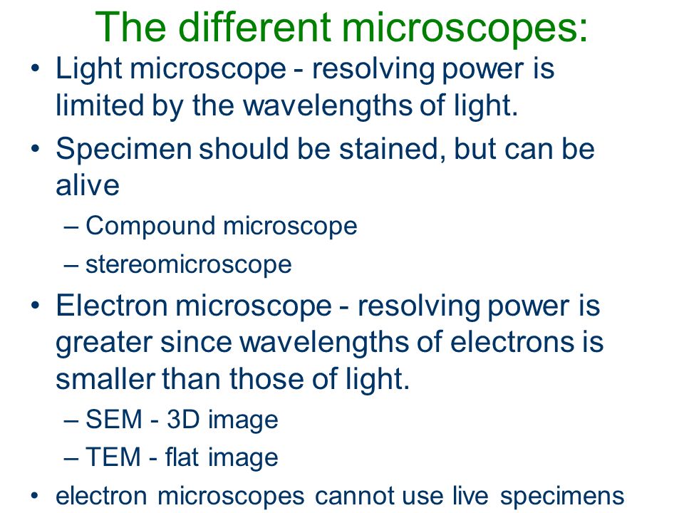 microscopes staining and electron microscope essay microscopes staining and electron microscope essay