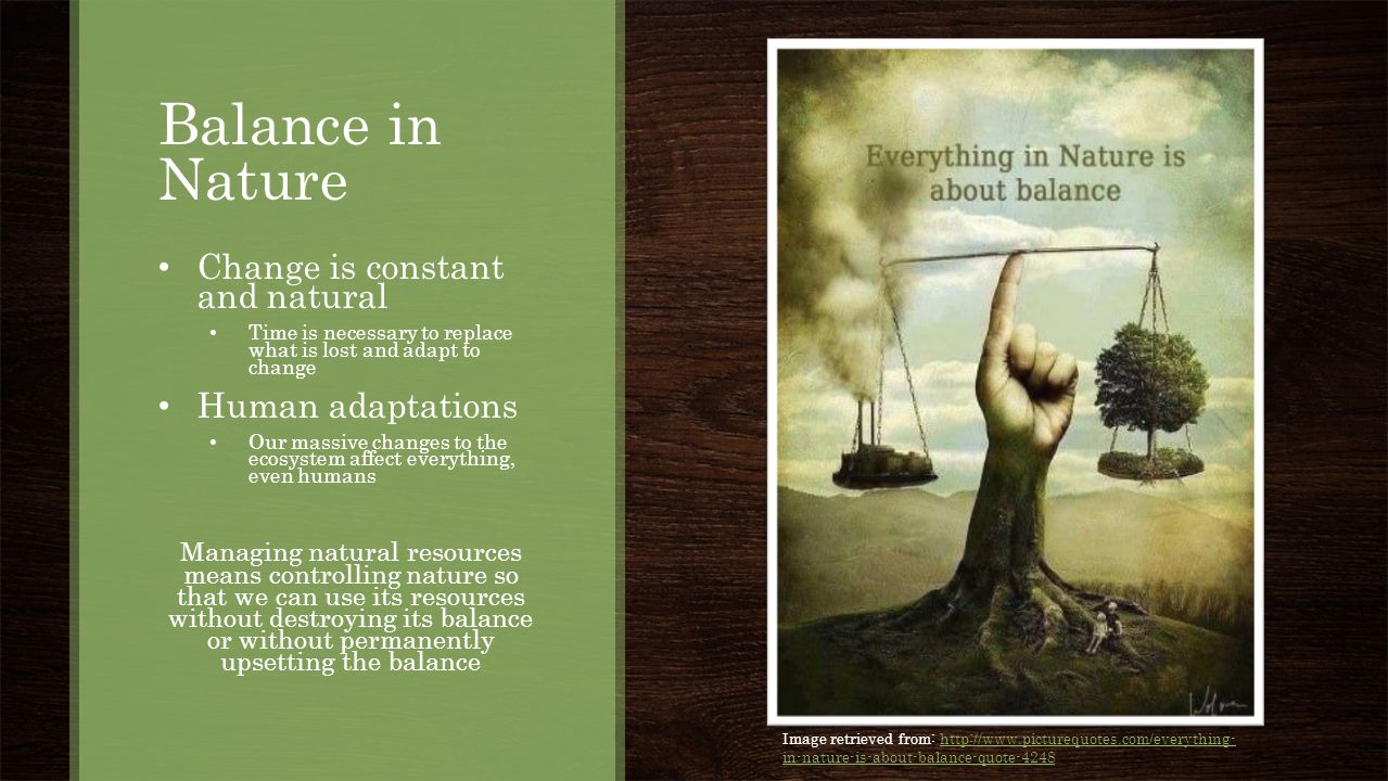 nature of change Home resource pages the changing nature of organizations, work, and workplace the changing nature of organizations and supporting continual change and. nature of change Home resource pages the changing nature of organizations, work, and workplace the changing nature of organizations and supporting continual change and.