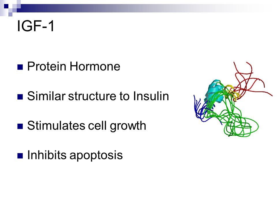 the role of protein in hormone Despite the large volume of research that has been published in the field of endocrinology during the past 50 years, the precise biochemical function of a hormo. the role of protein in hormone Despite the large volume of research that has been published in the field of endocrinology during the past 50 years, the precise biochemical function of a hormo.