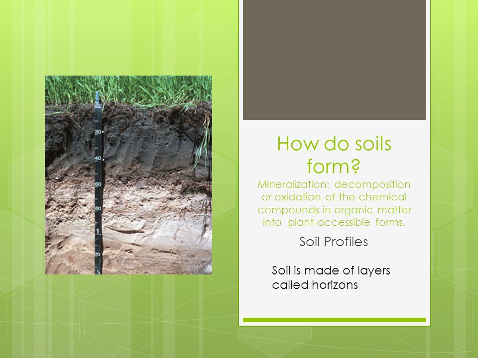 soil is a system how do soils form mineralization decomposition what is soil made of and how does it form