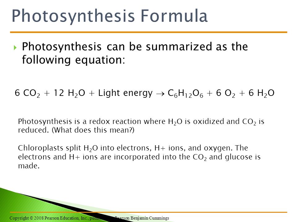 Ap Biology Chapter 10 Photo Light Synthesis To Build Photosynthesis Can Be Summarized As The Following Equation 6 Co 2 12 H