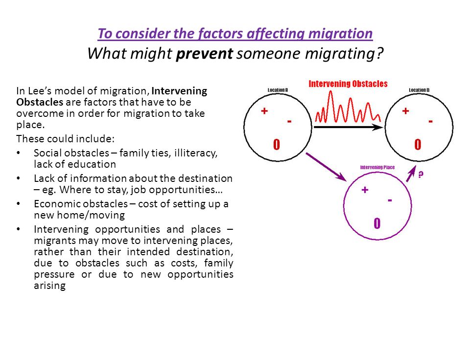 lee s model of migration