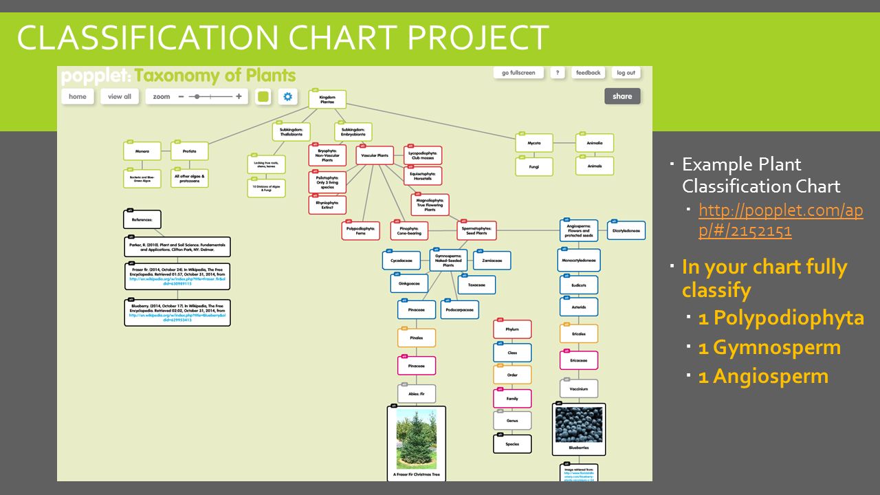 the identification and nomenclature of plants iafnr plant and soil plant classification chart