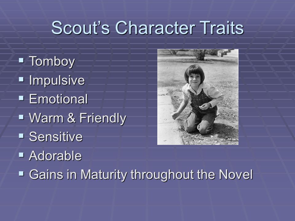 the character of atticus finch essay the character of atticus finch essay