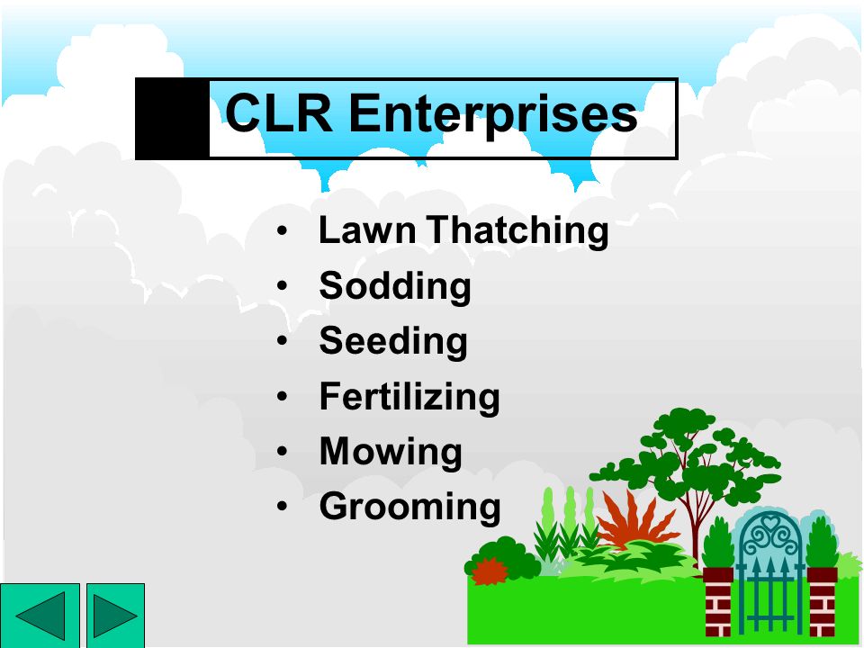 CLR Enterprises Lawn Maintenance consists of year- round lawn care.