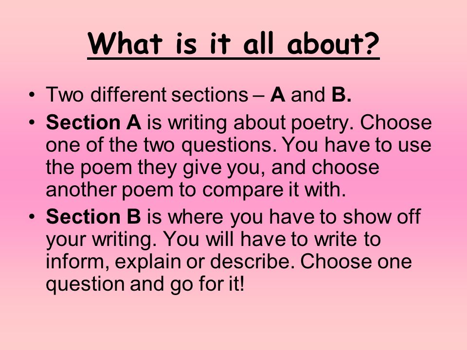 writing essays for dummies