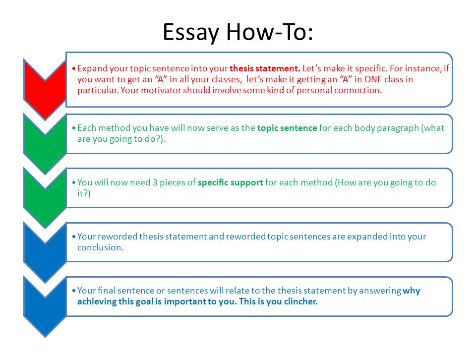 What Should A Thesis Statement Look Like
