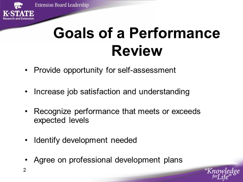 job performance review