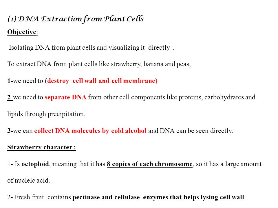 dna experiments essay dna experiments essay