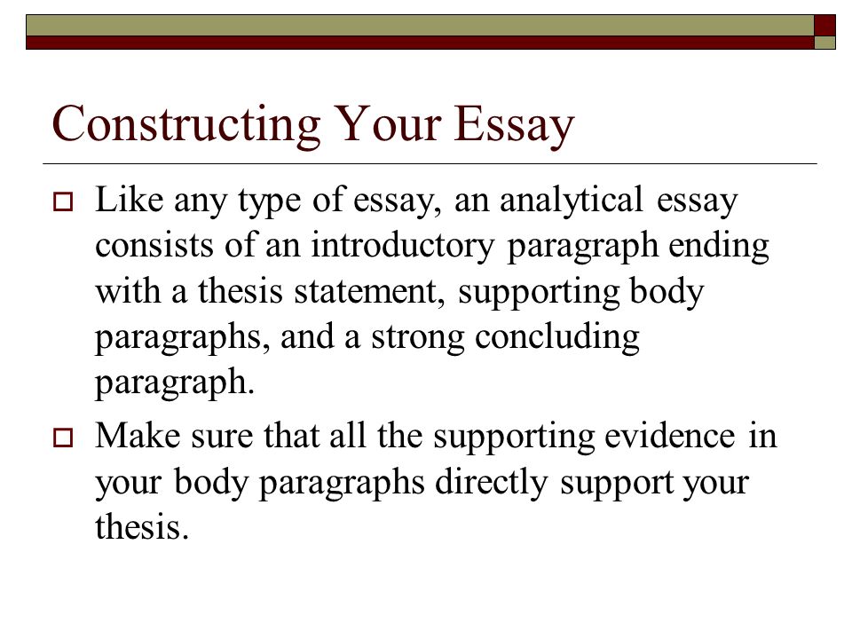 what does a essay consist of what does a essay consist of