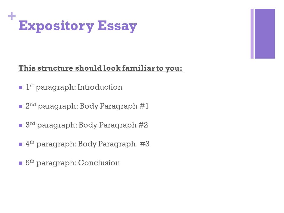 Essay body paragraph structure