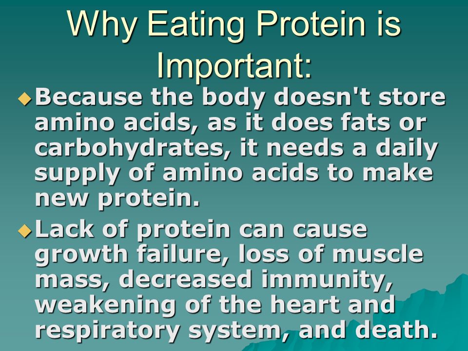 why are proteins important essay why are proteins important essay