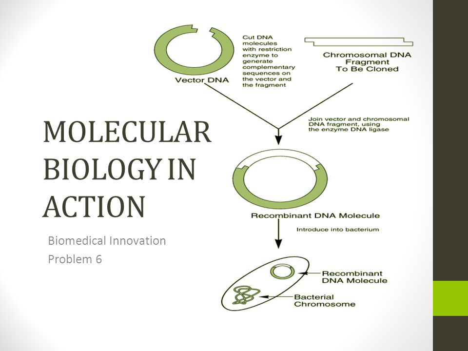 molecular biology in action biomedical innovation problem ppt download molecular biology in action biomedical innovation problem ppt download, Presentation templates