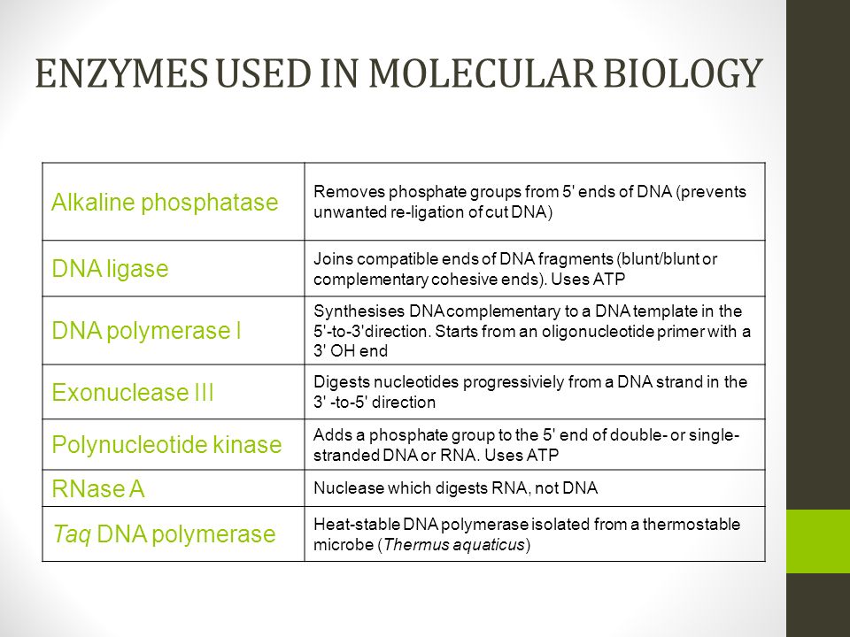 molecular biology in action biomedical innovation problem ppt download molecular biology in action biomedical innovation problem ppt download, Presentation templates