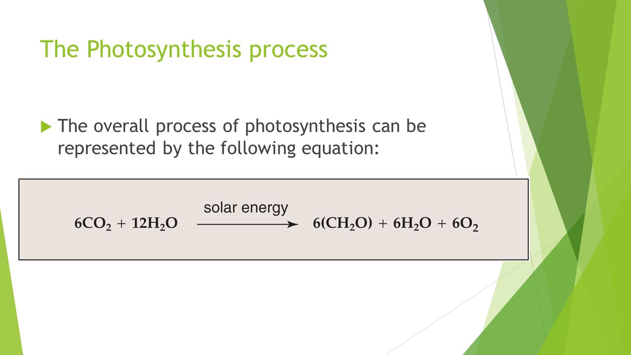 Photosynthesis Ch 7 Photosynthetic Organisms 5 The Photosynthesis Process Overall Of Can Be Represented By Following Equation
