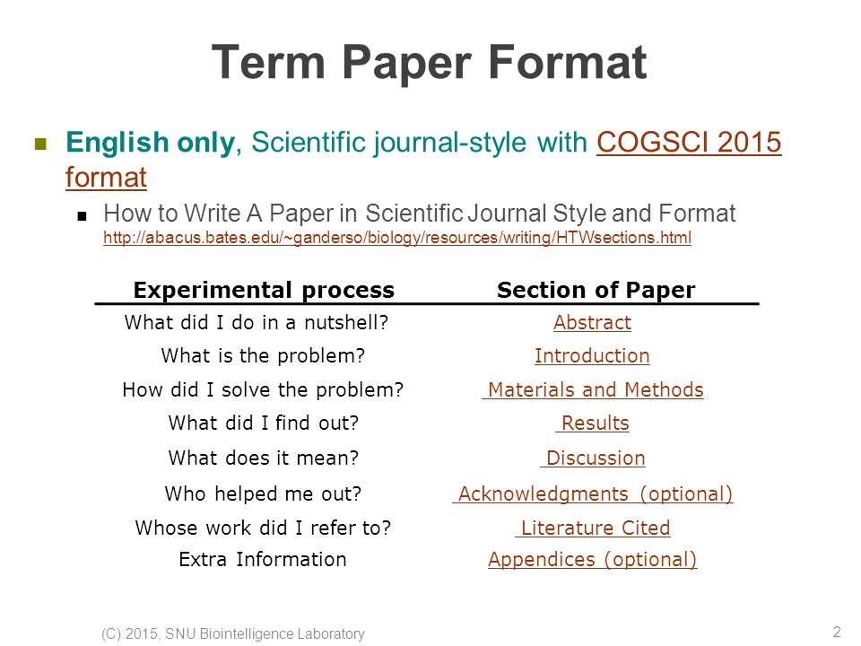 Introduction Of A Term Paper