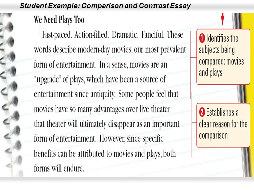 essay comparing two people