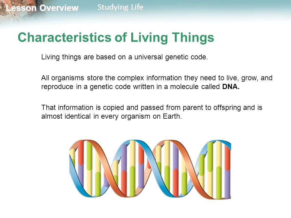 the genetic instructions that are used in the development of all living things There’s much more without getting into detail, it is the reason we are born with an amalgamation of our parent’s traits it is what contains the genetic instructions for the development and function of all living. the genetic instructions that are used in the development of all living things There’s much more without getting into detail, it is the reason we are born with an amalgamation of our parent’s traits it is what contains the genetic instructions for the development and function of all living.