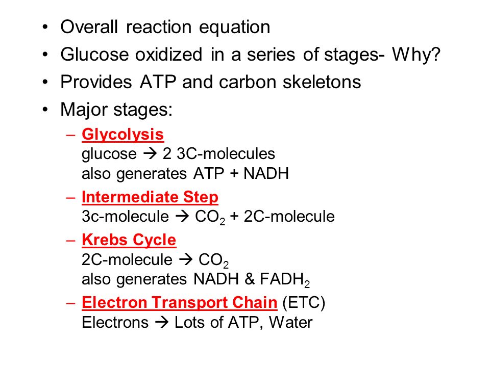 Chapter 5 Bio 391 Cell Respiration Ppt Video Online Download 6 Overall Reaction Equation Glucose Oxidized In A Series Of Stages Why Provides Atp And Carbon Skeletons Major Glycolysis 2