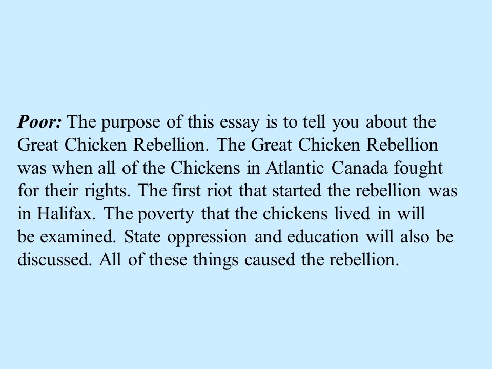 Purpose Of Education Essay