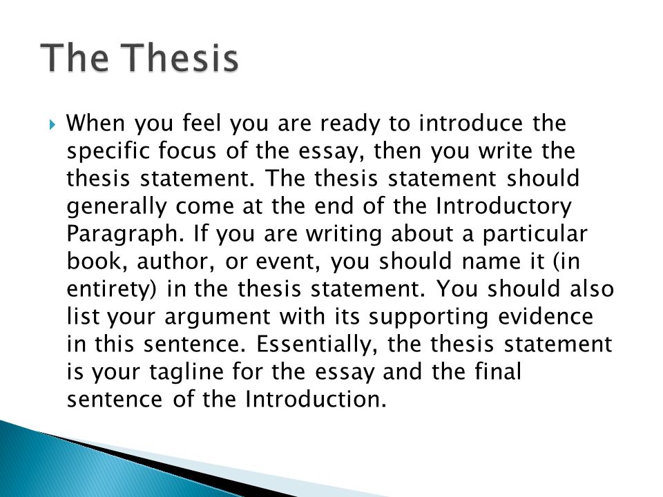 good opening lines for essays good opening lines for essays
