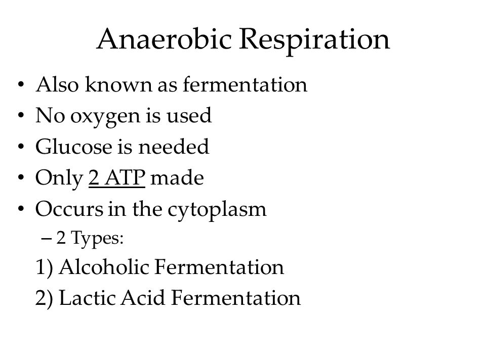 Chemical Equation For Anaerobic Respiration Jennarocca Respiration Chemical Reaction That Makes Energy Atp What S The