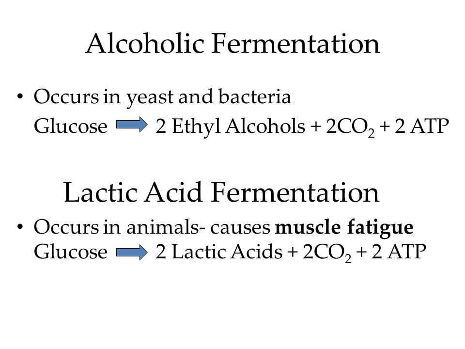Chemical Equation For Alcoholic Fermentation Talkchannels Anaerobic Respiration Chemical Equation Talkchannels Lactic Acid Fermentation