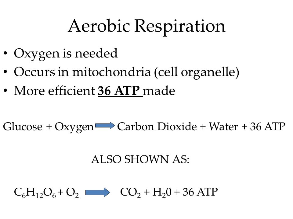 Anaerobic Respiration Chemical Equation Talkchannels Respiration Chemical Reaction That Makes Energy Atp What S The