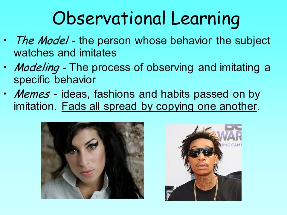 observational learning