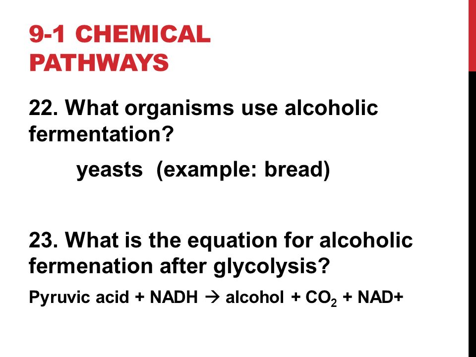 Chemical Equation For Alcoholic Fermentation Talkchannels Ch 9 Cellular Respiration 1 Chemical Pathways What Is A Equation For Alcoholic Fermentation After Glycolysis Talkchannels Of