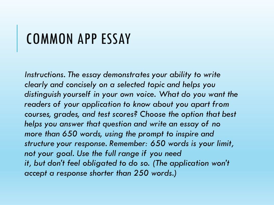 Essay About Nursing