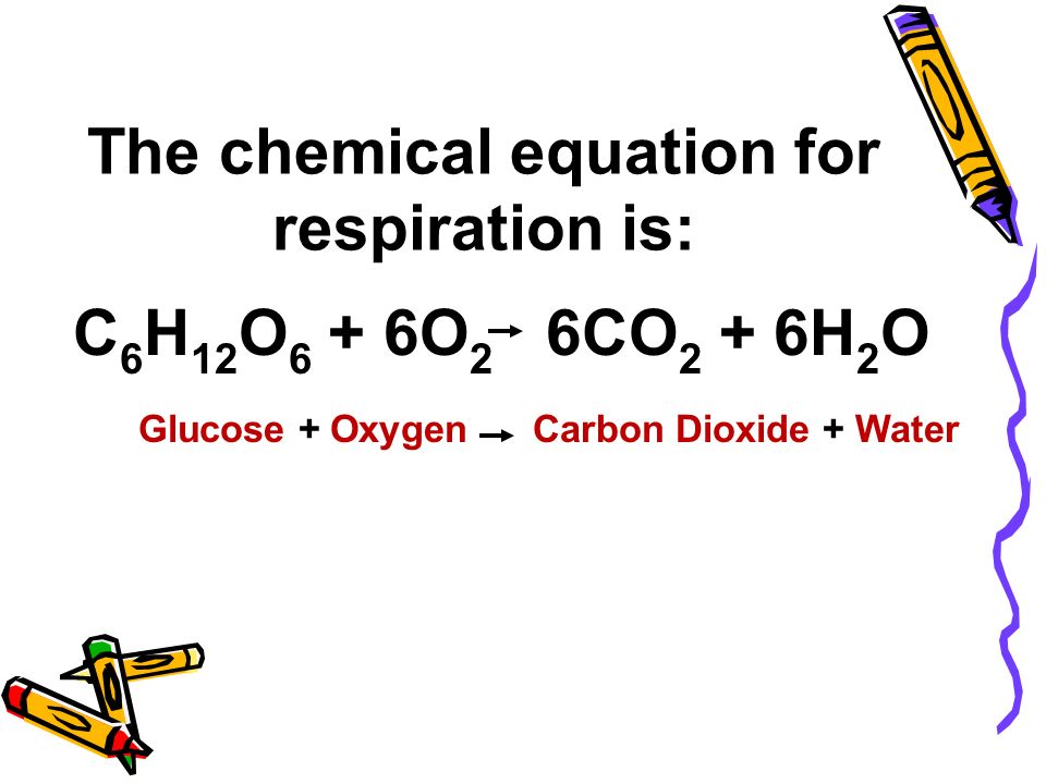 Glucose Chemical Equation Talkchannels What Is The Chemical Equation For Respiration Talkchannels Carbon Dioxide Water Glucose Oxygen