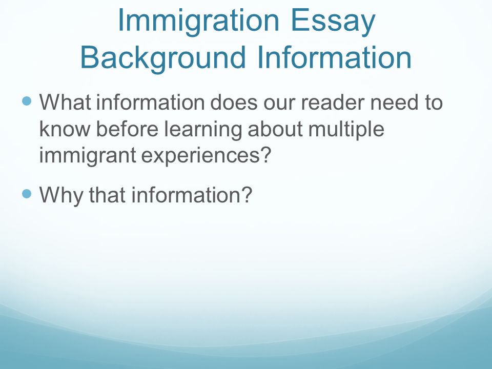 Essay Immigration